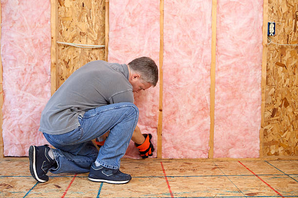 Best Eco-Friendly Insulation in Quinnesec, MI